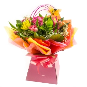 Offer of the Month